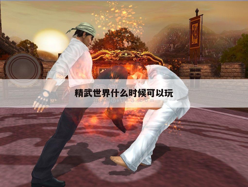 精武世界什么时候可以玩