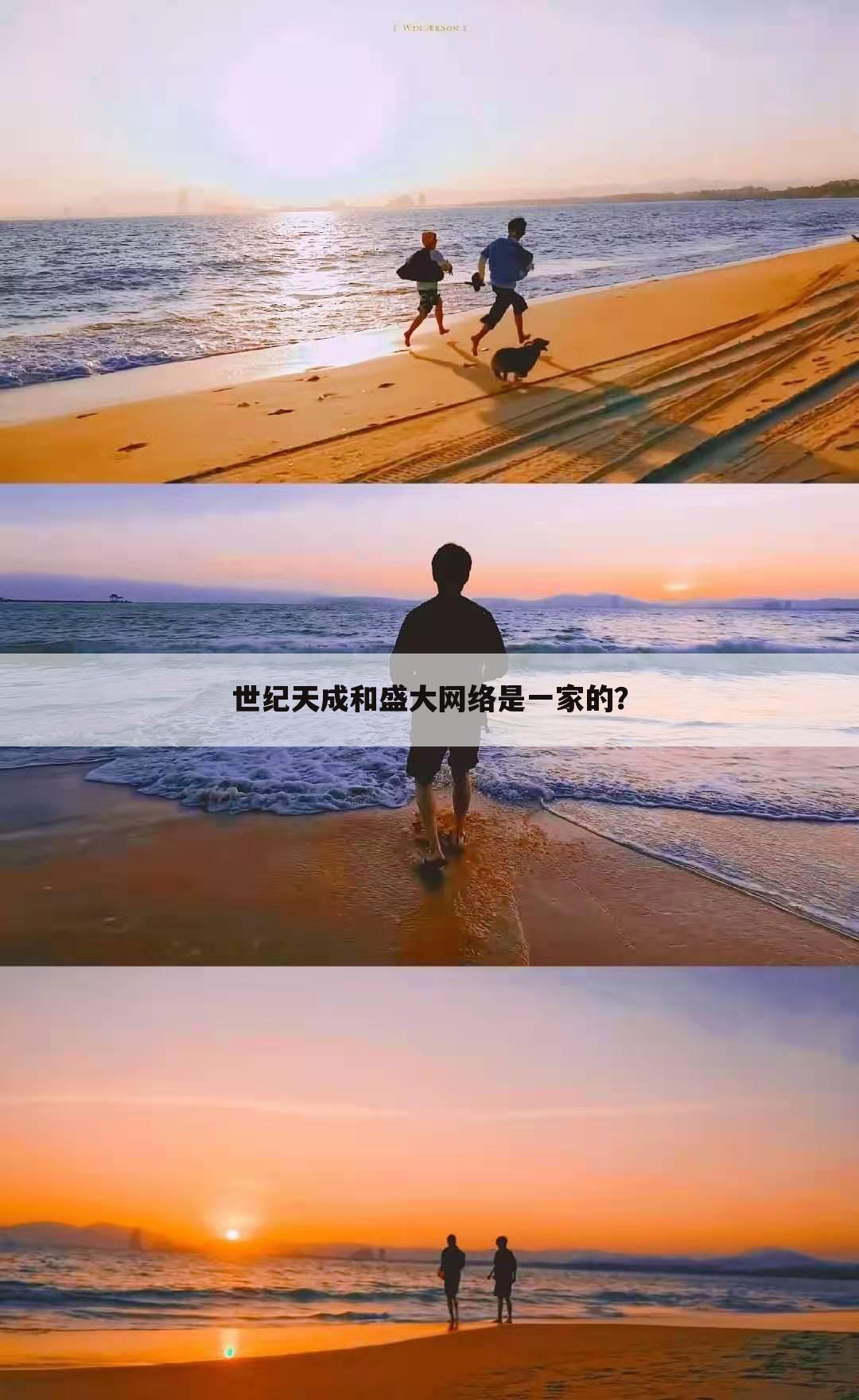 世纪天成和盛大网络是一家的?