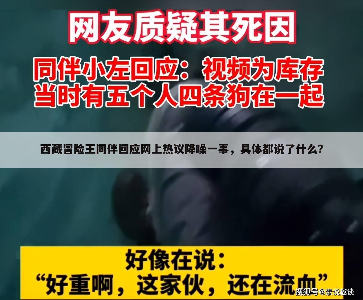 西藏冒险王同伴回应网上热议降噪一事,具体都说了什么?
