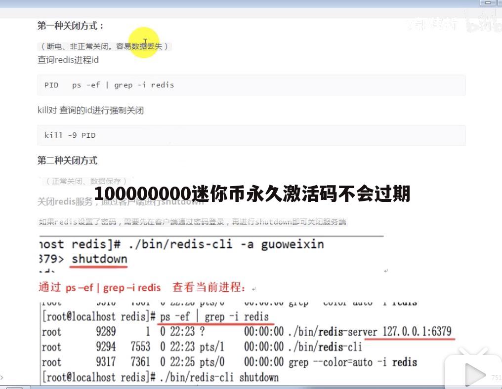 100000000迷你币永久激活码不会过期
