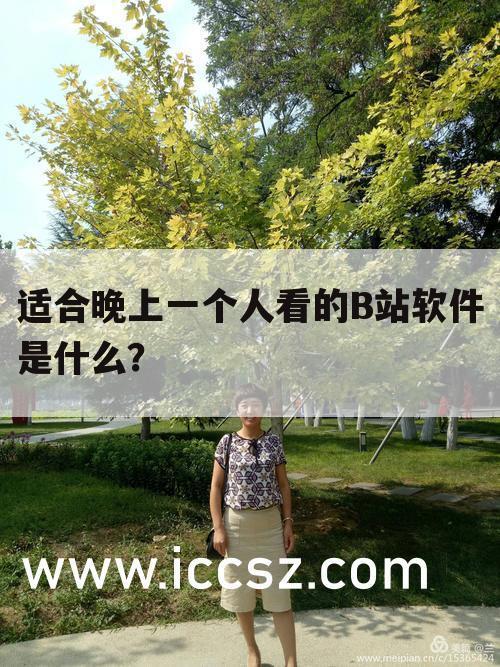 适合晚上一个人看的B站软件是什么?
