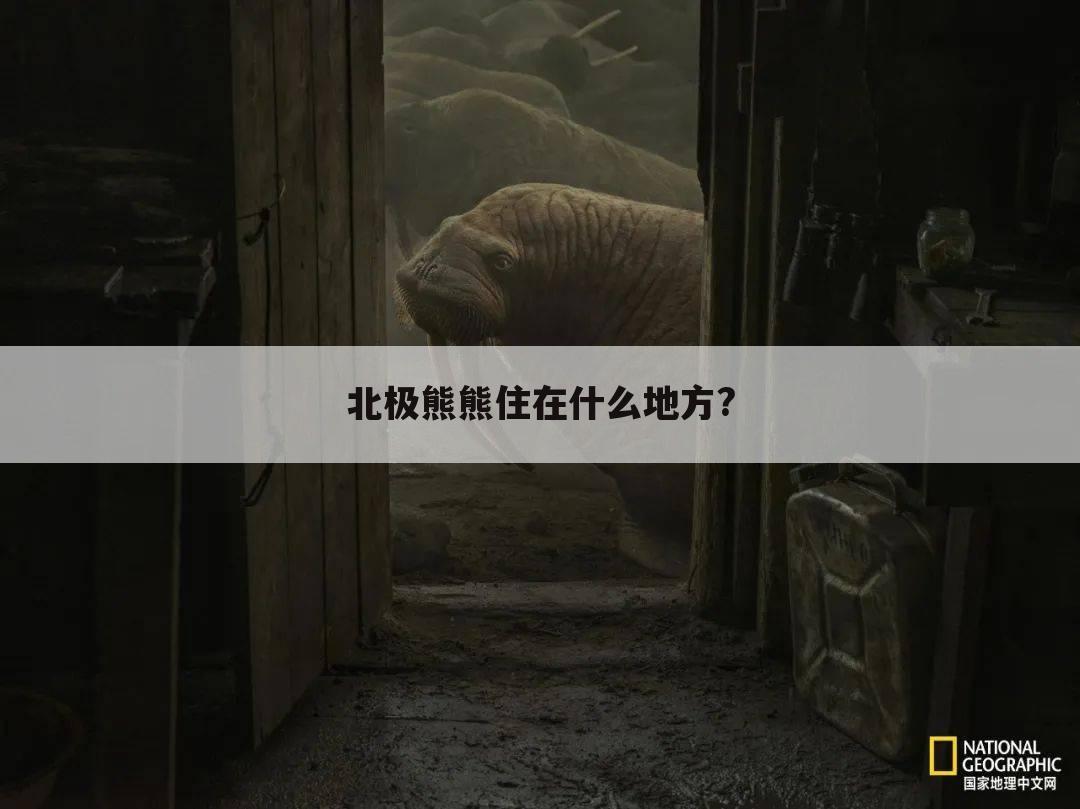 北极熊熊住在什么地方?