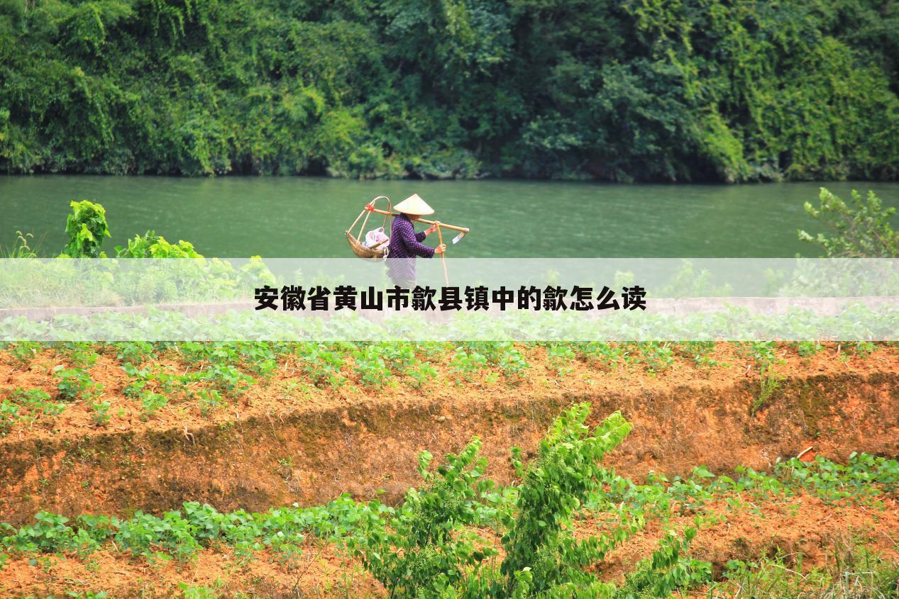 安徽省黄山市歙县镇中的歙怎么读