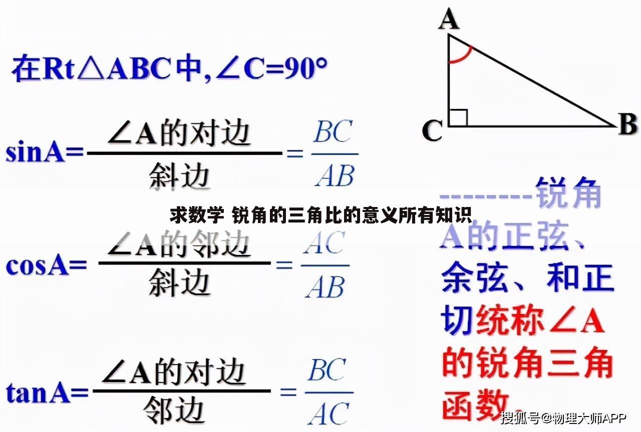 求数学 锐角的三角比的意义所有知识