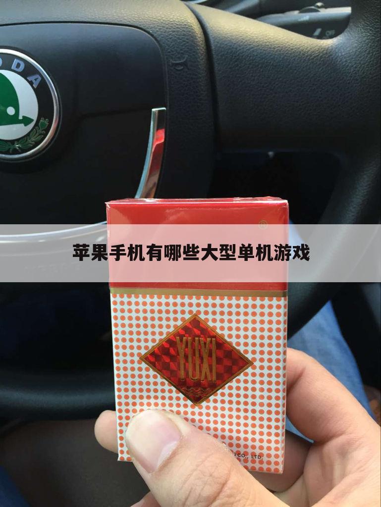 苹果手机有哪些大型单机游戏