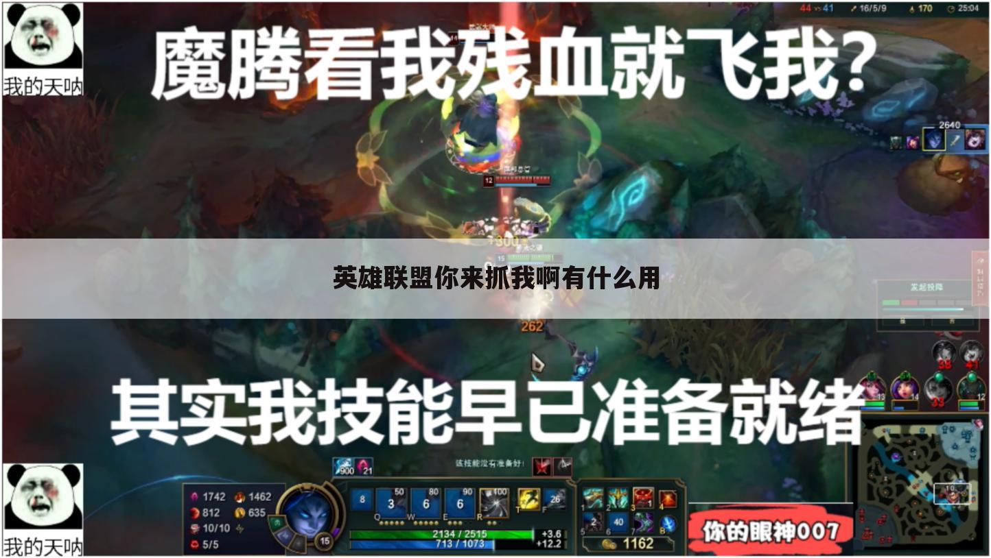 英雄联盟你来抓我啊有什么用