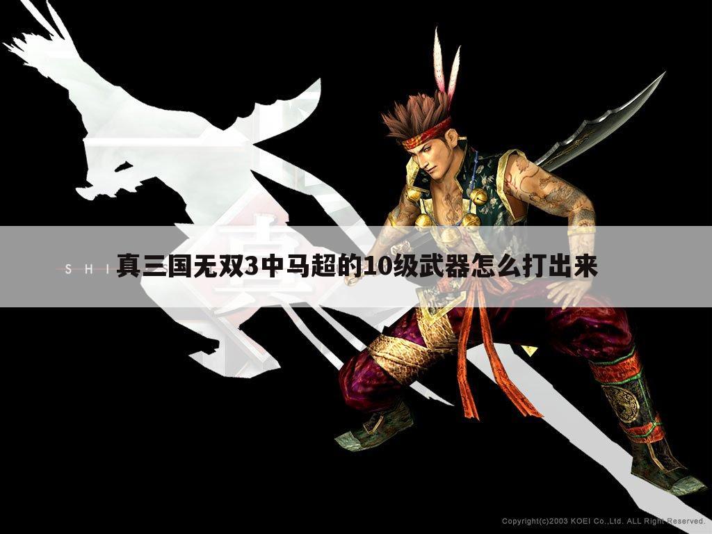 真三国无双3中马超的10级武器怎么打出来