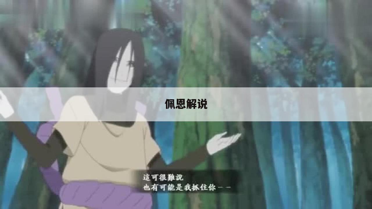 佩恩解说