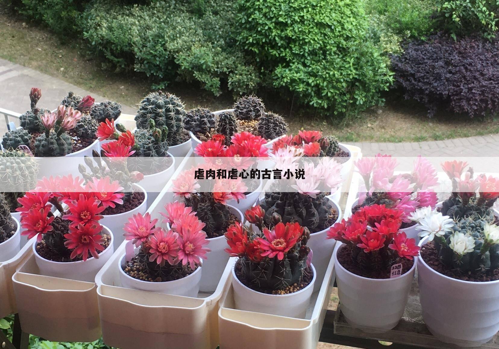 虐肉和虐心的古言小说