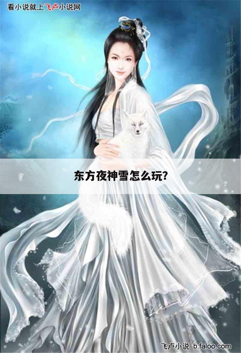 东方夜神雪怎么玩?
