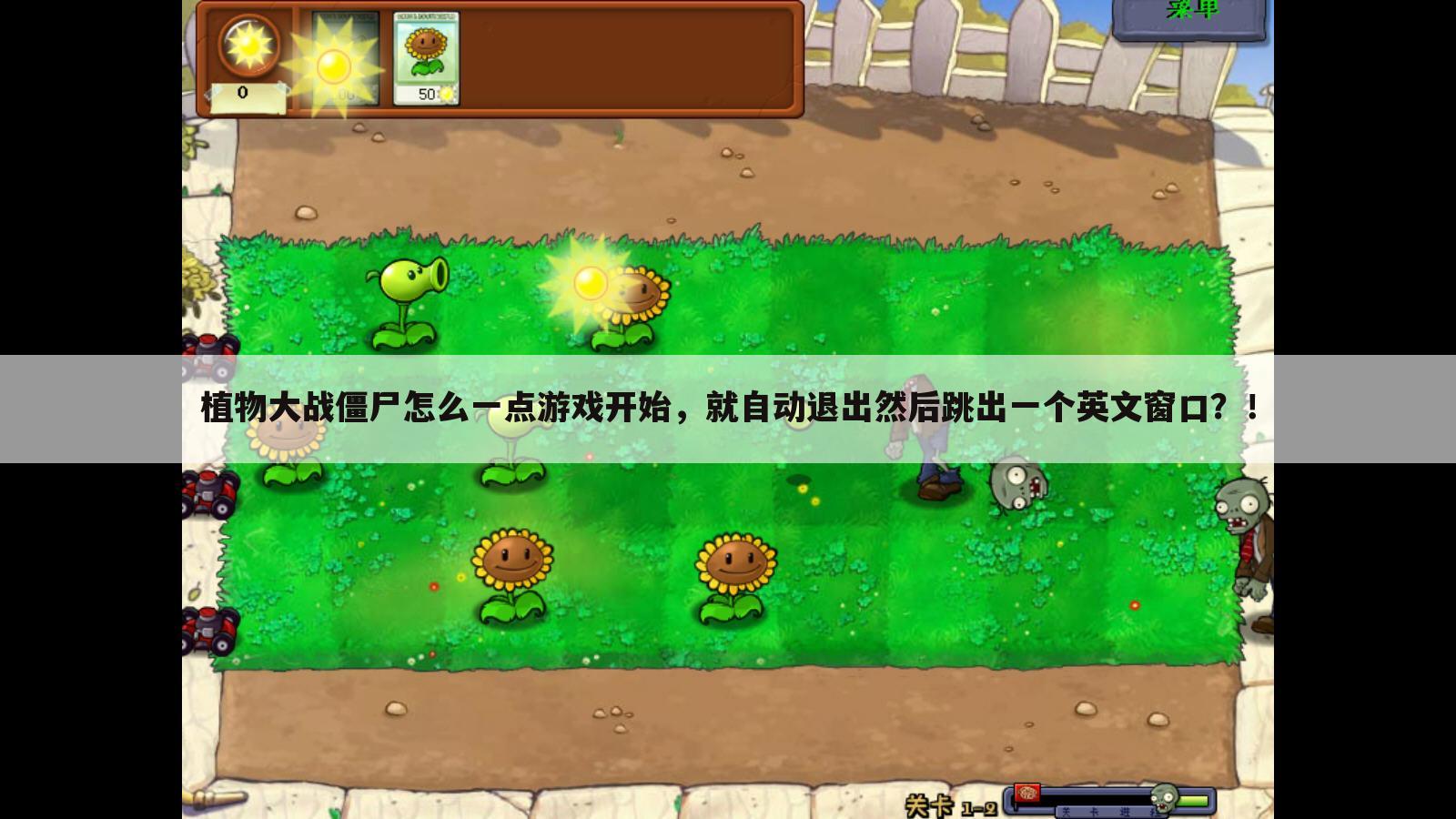 植物大战僵尸怎么一点游戏开始,就自动退出然后跳出一个英文窗口?!