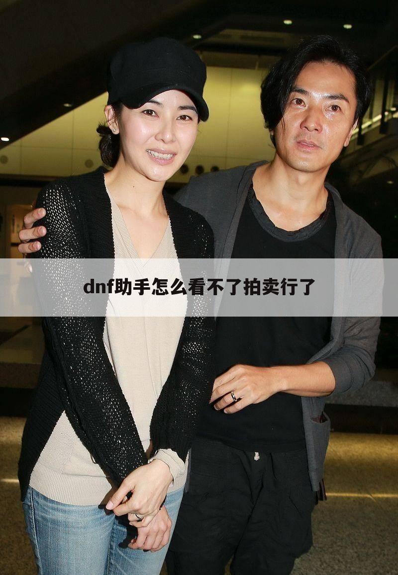 dnf助手怎么看不了拍卖行了