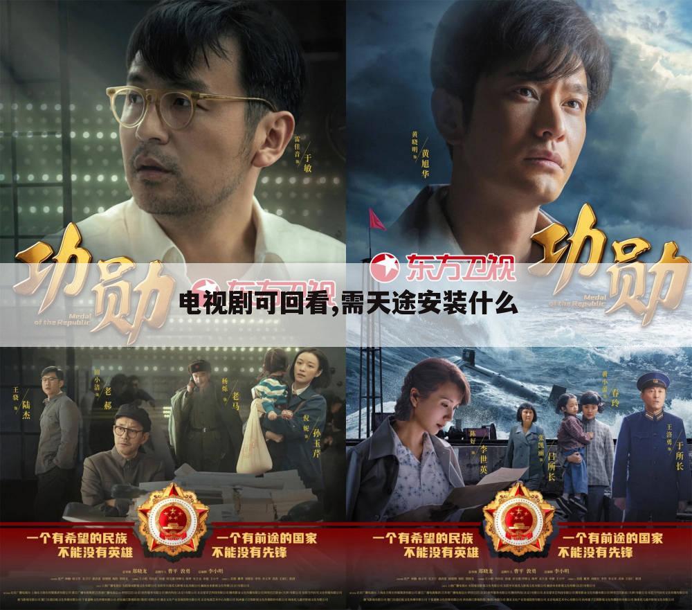 电视剧可回看,需天途安装什么