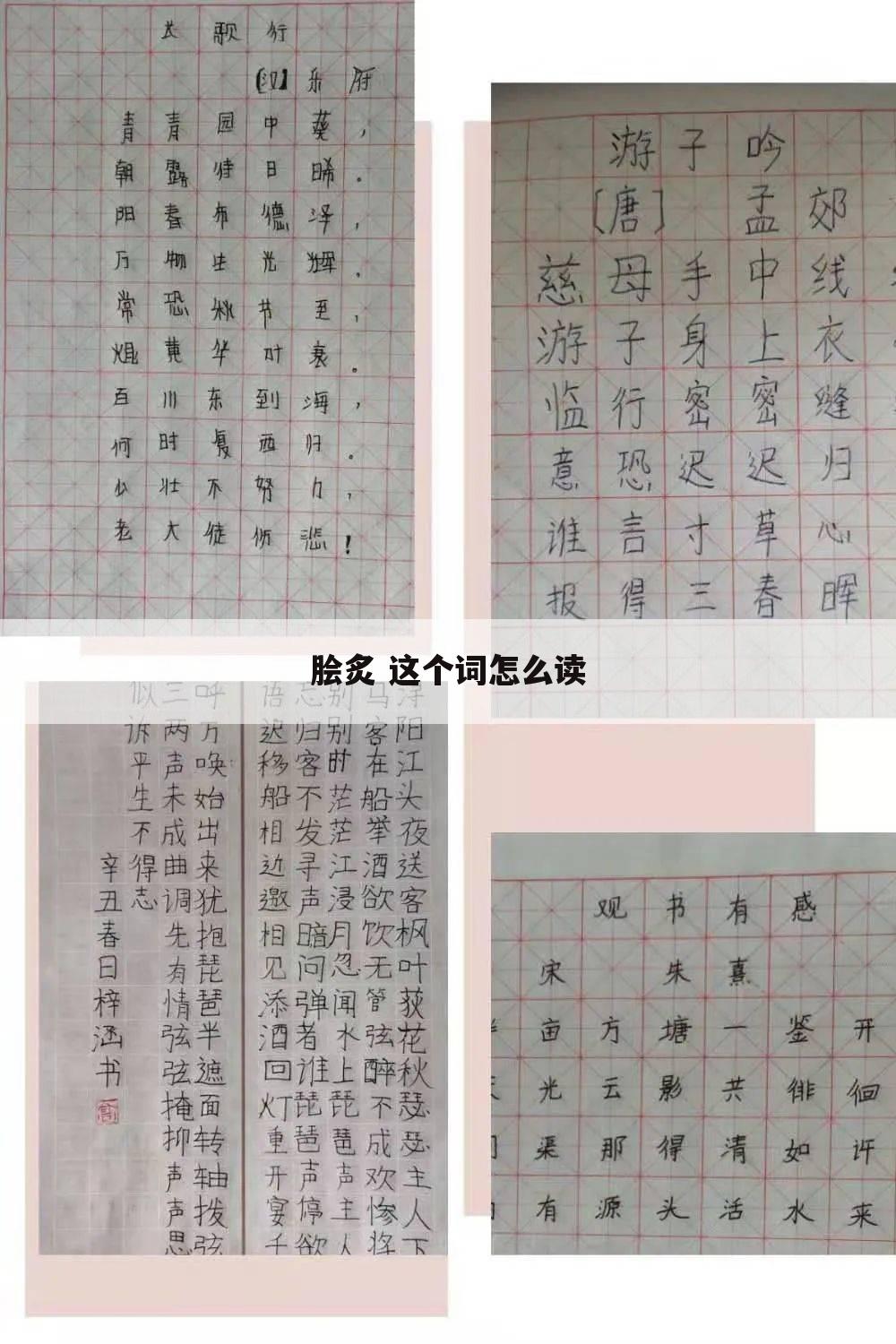 脍炙 这个词怎么读