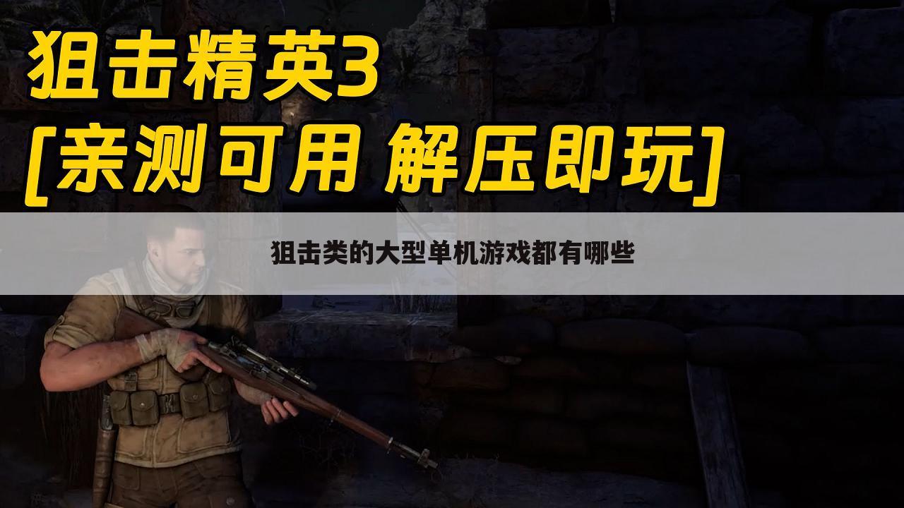 狙击类的大型单机游戏都有哪些