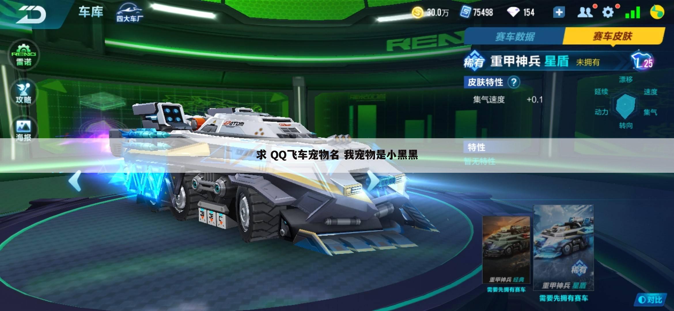 求 QQ飞车宠物名 我宠物是小黑黑