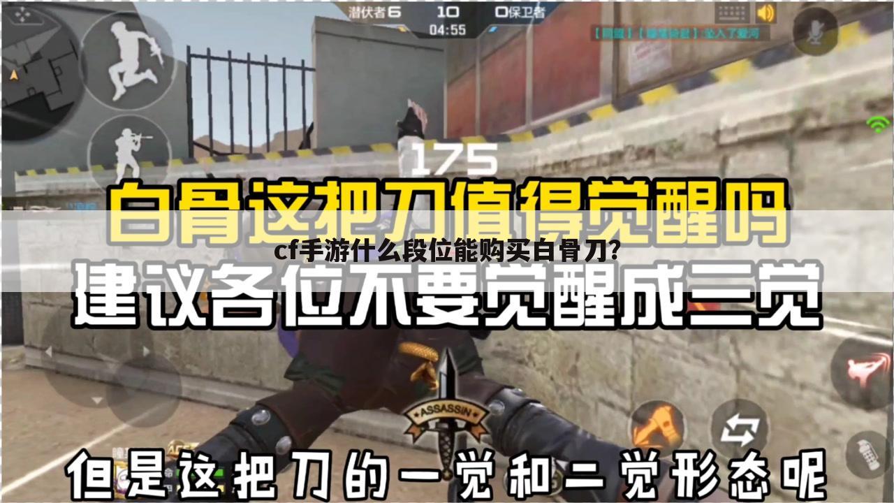 cf手游什么段位能购买白骨刀？