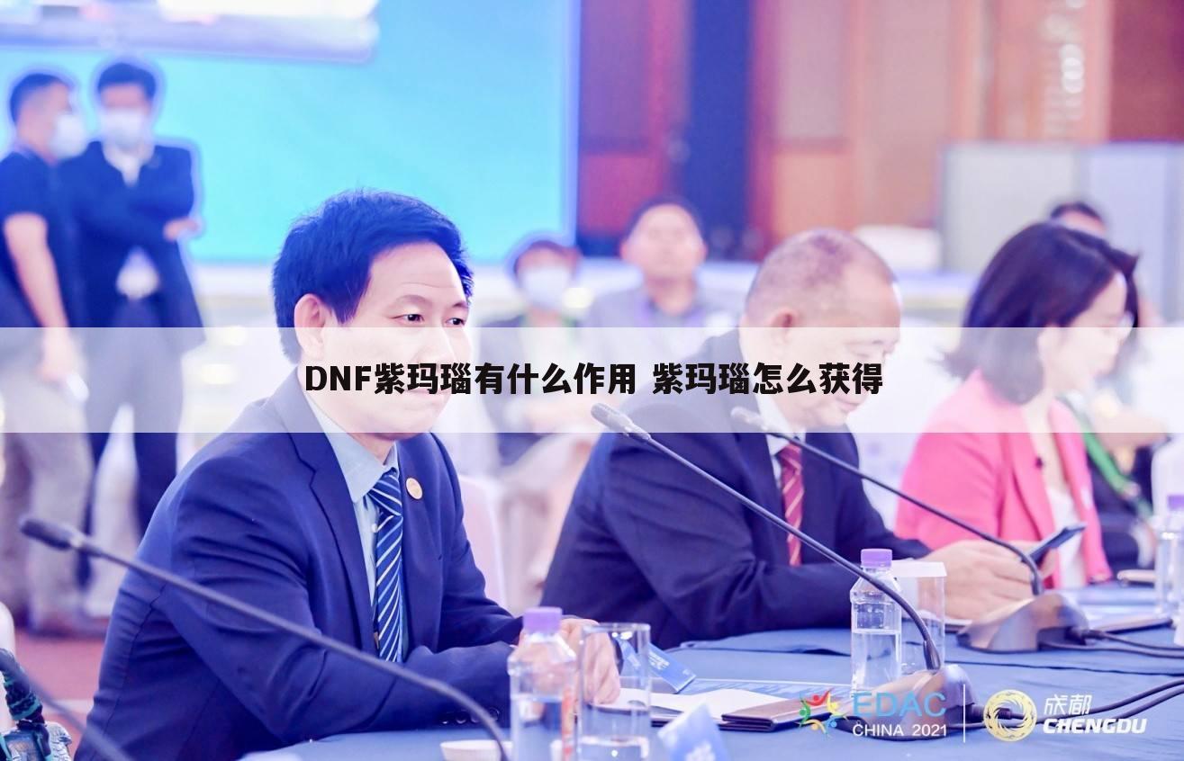 DNF紫玛瑙有什么作用 紫玛瑙怎么获得