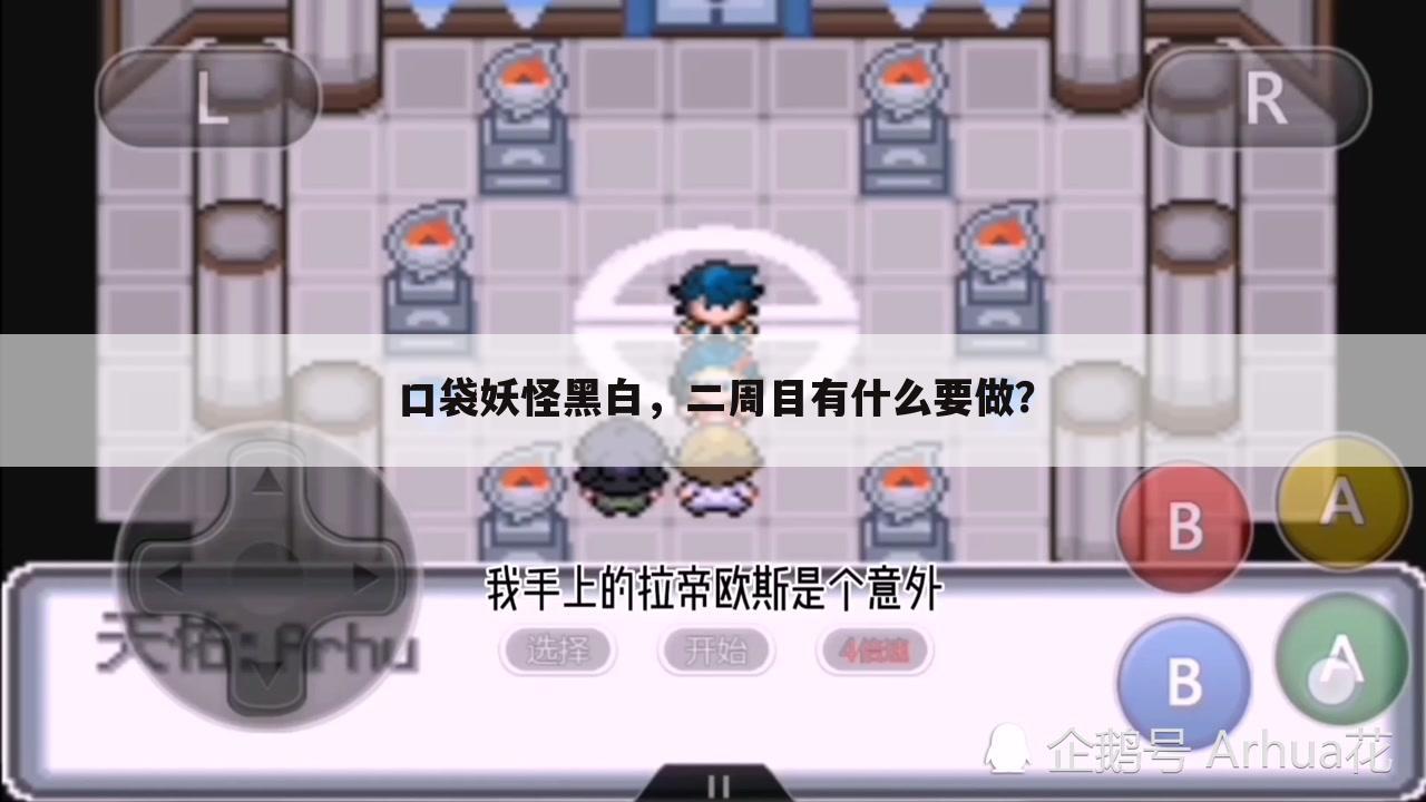 口袋妖怪黑白,二周目有什么要做?