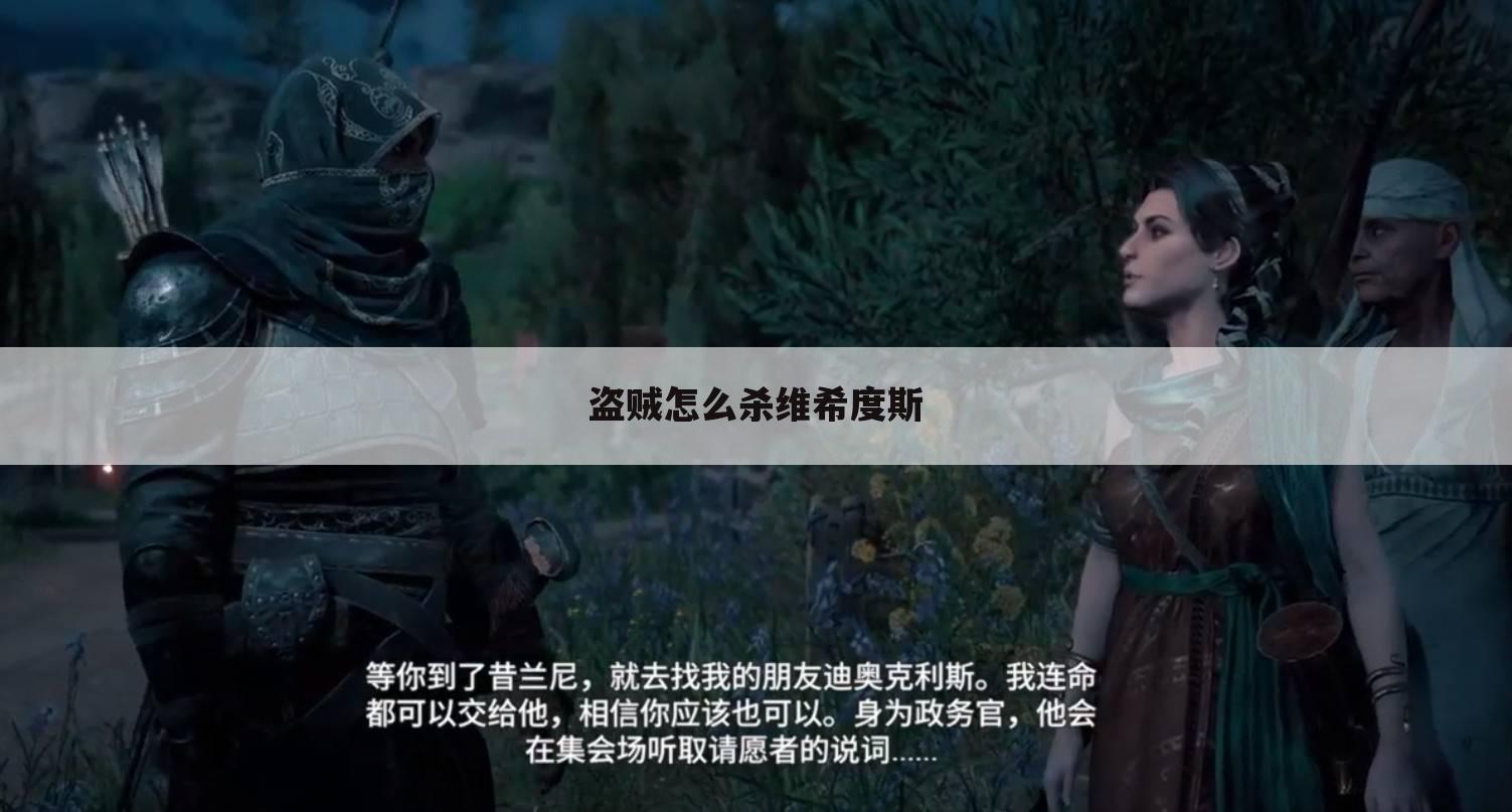 盗贼怎么杀维希度斯