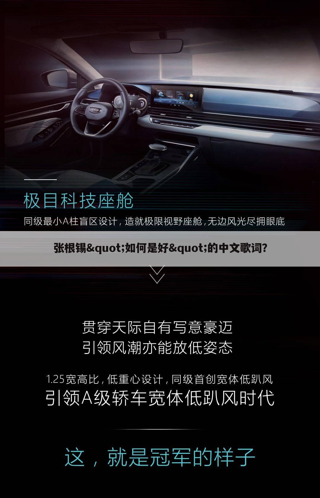 张根锡"如何是好"的中文歌词？
