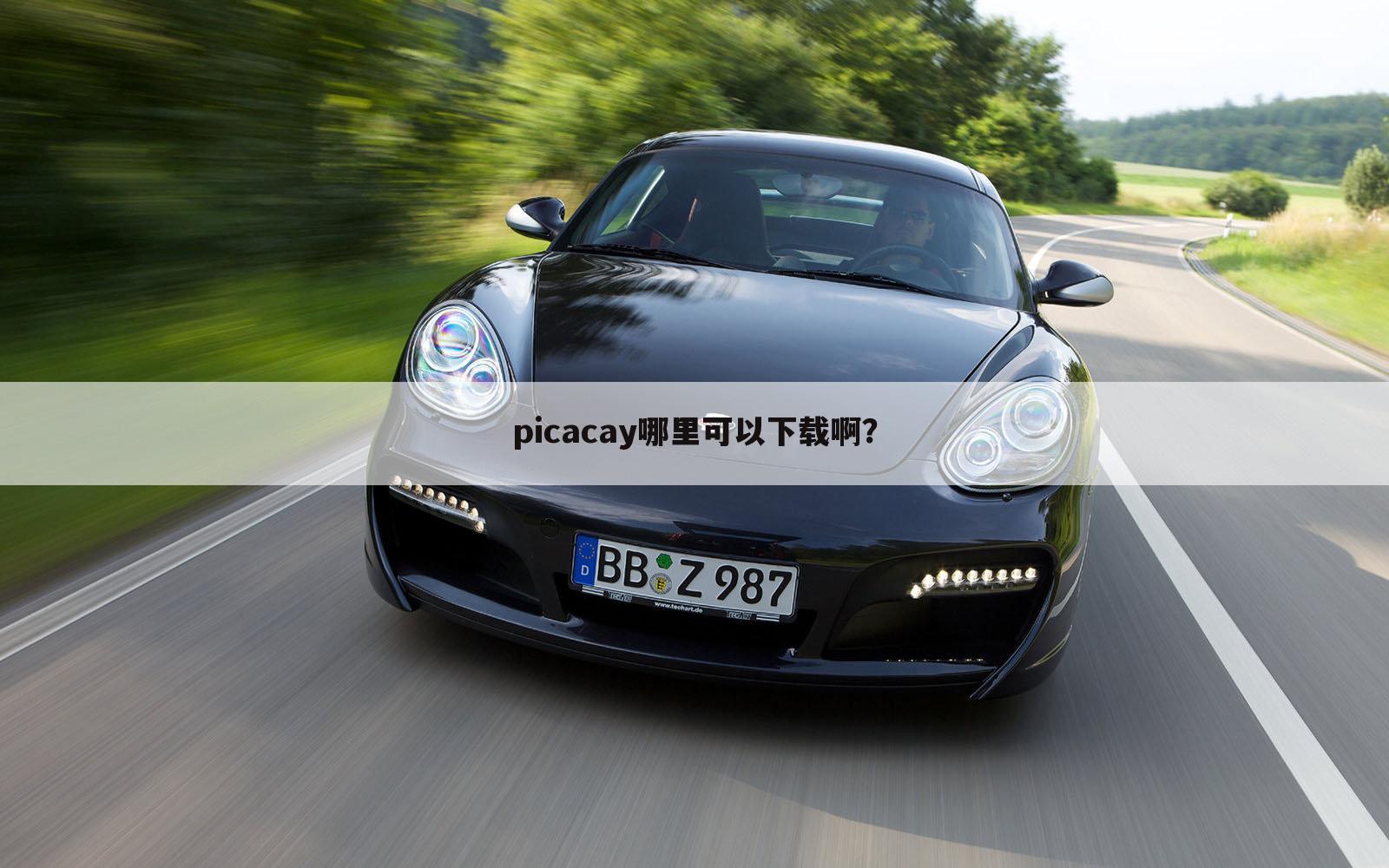 picacay哪里可以下载啊？