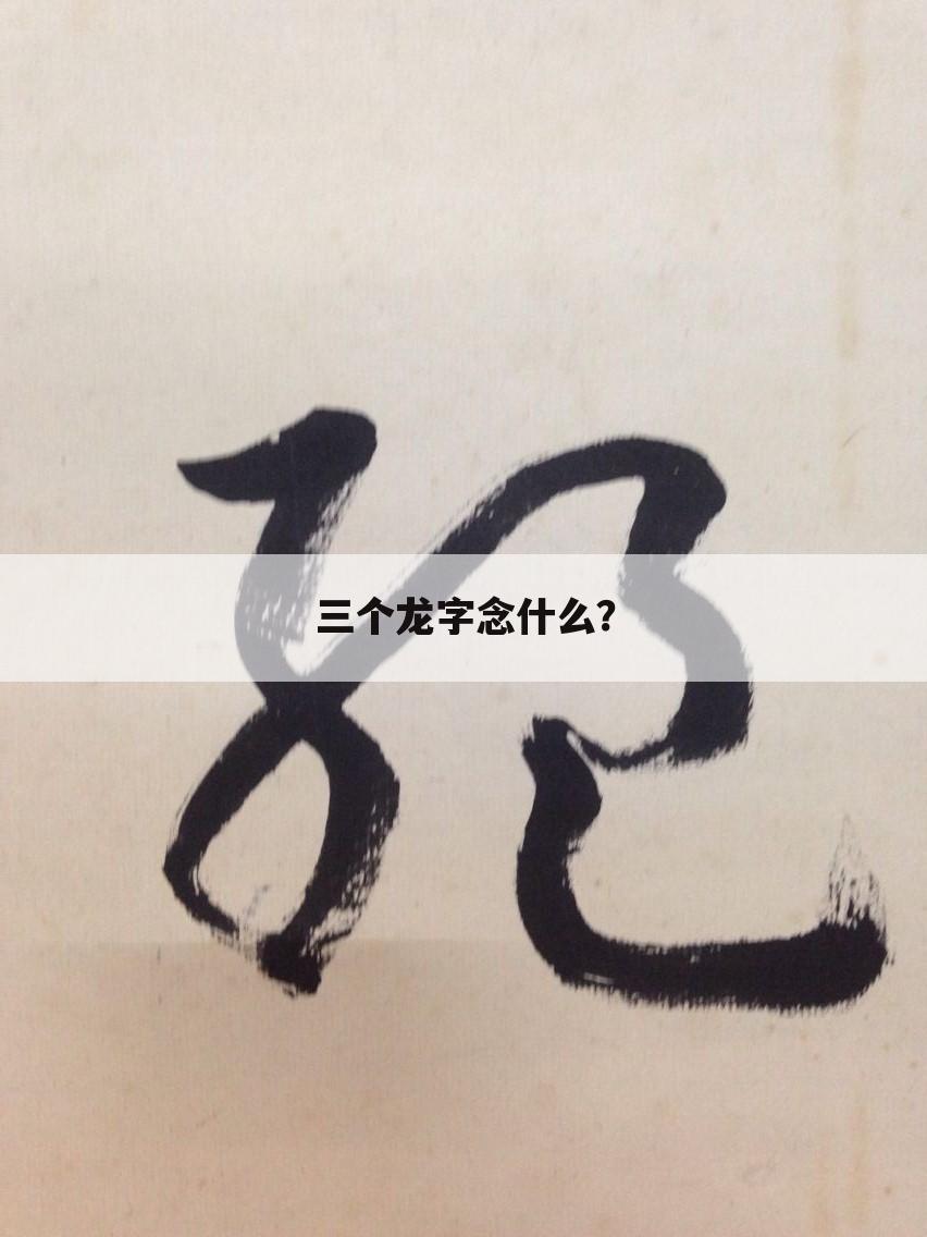 三个龙字念什么？