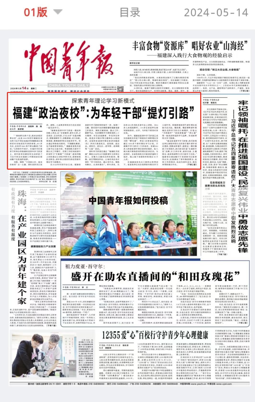中国青年报如何投稿