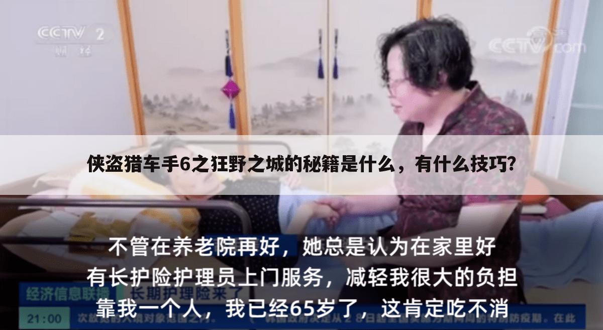 侠盗猎车手6之狂野之城的秘籍是什么，有什么技巧？