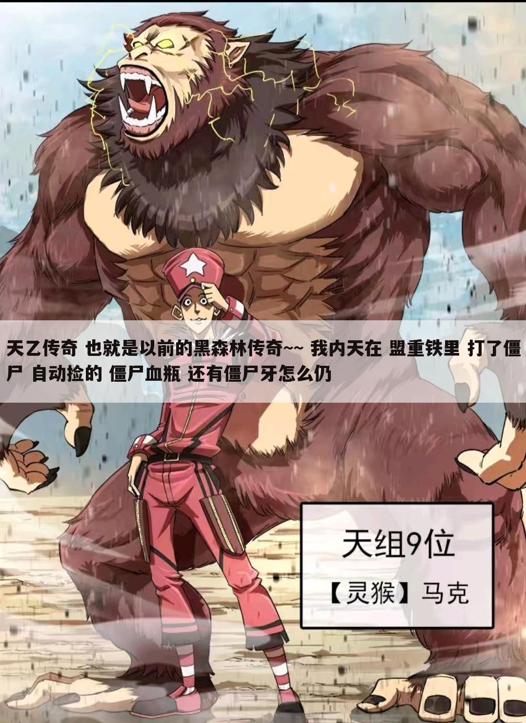 天乙传奇 也就是以前的黑森林传奇~~ 我内天在 盟重铁里 打了僵尸 自动捡的 僵尸血瓶 还有僵尸牙怎么仍