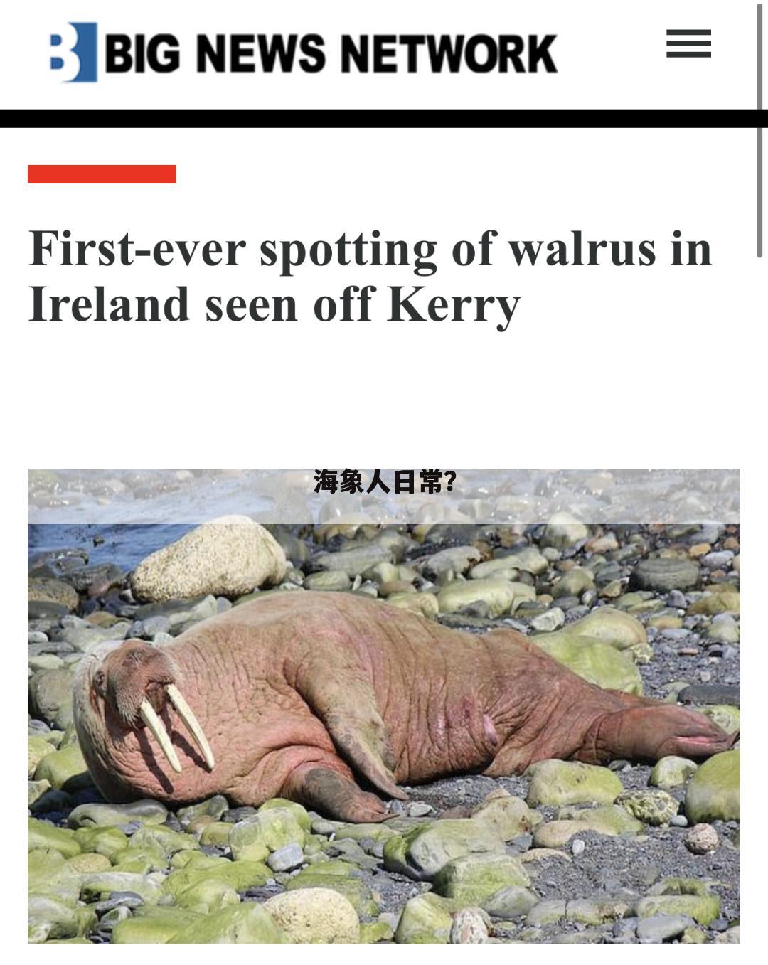 海象人日常?