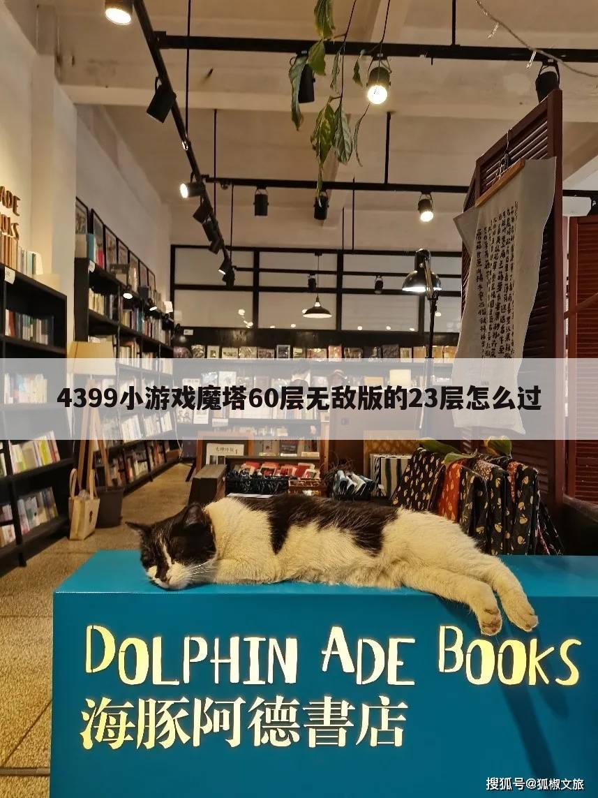 4399小游戏魔塔60层无敌版的23层怎么过