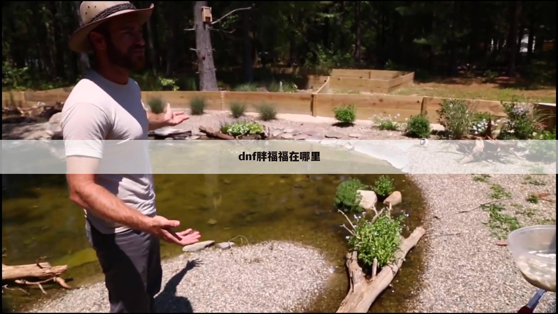 dnf胖福福在哪里