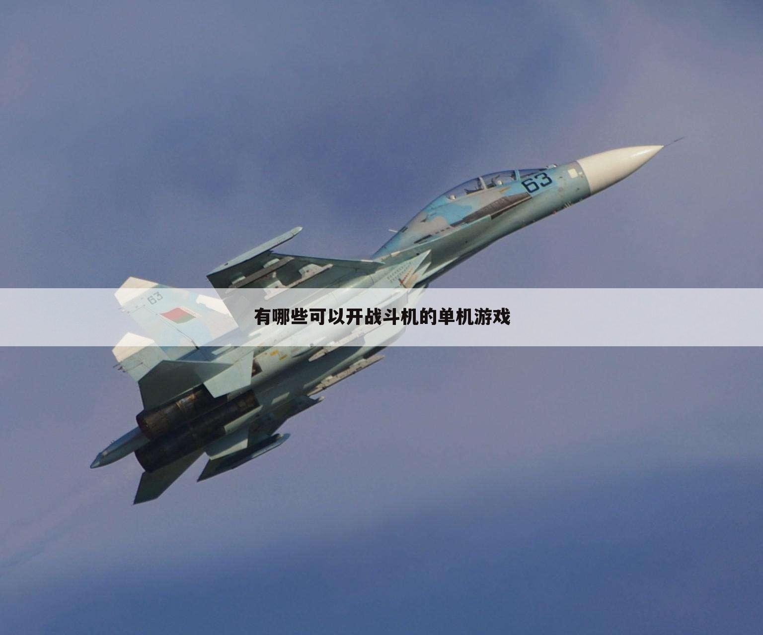有哪些可以开战斗机的单机游戏
