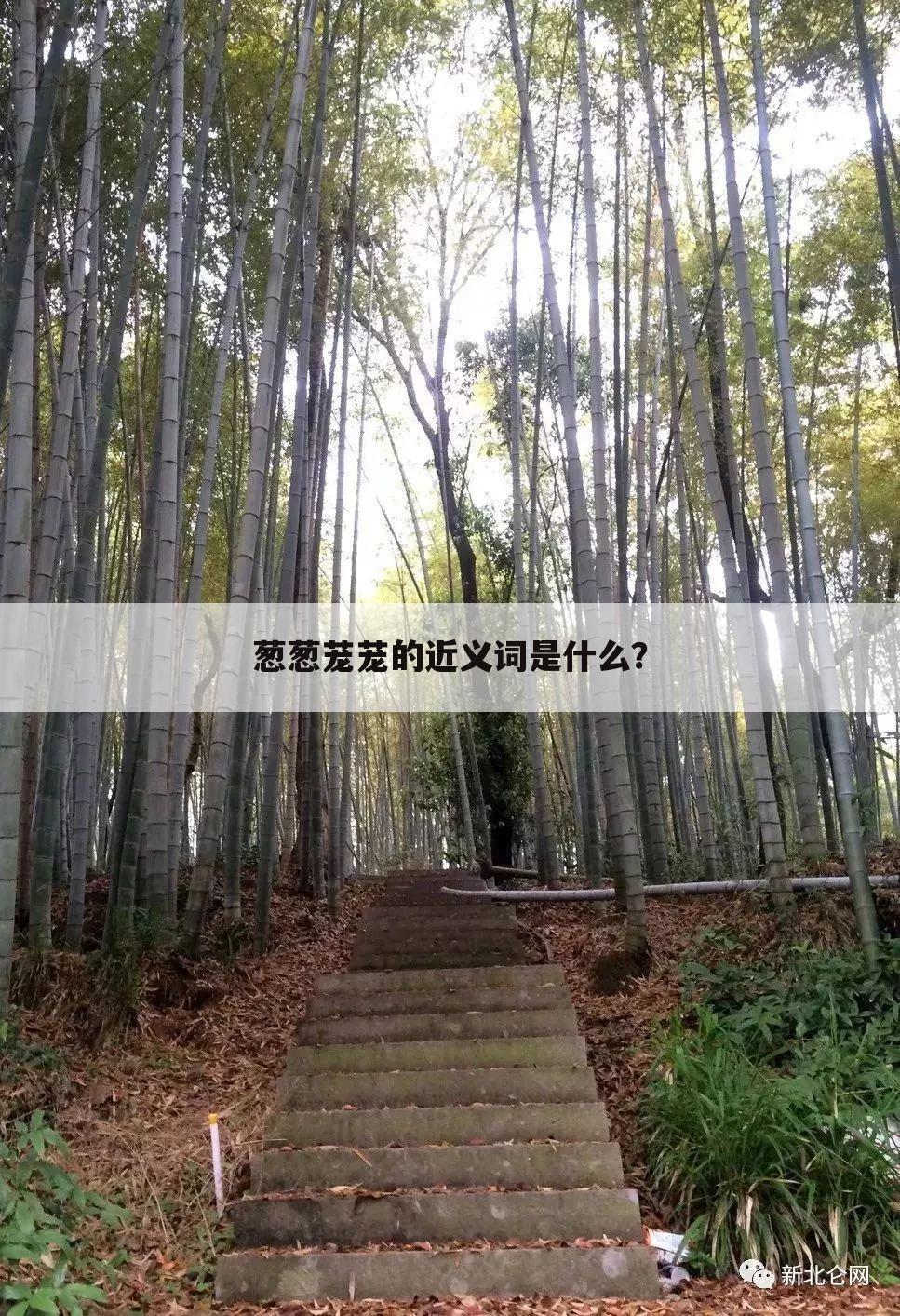 葱葱茏茏的近义词是什么？