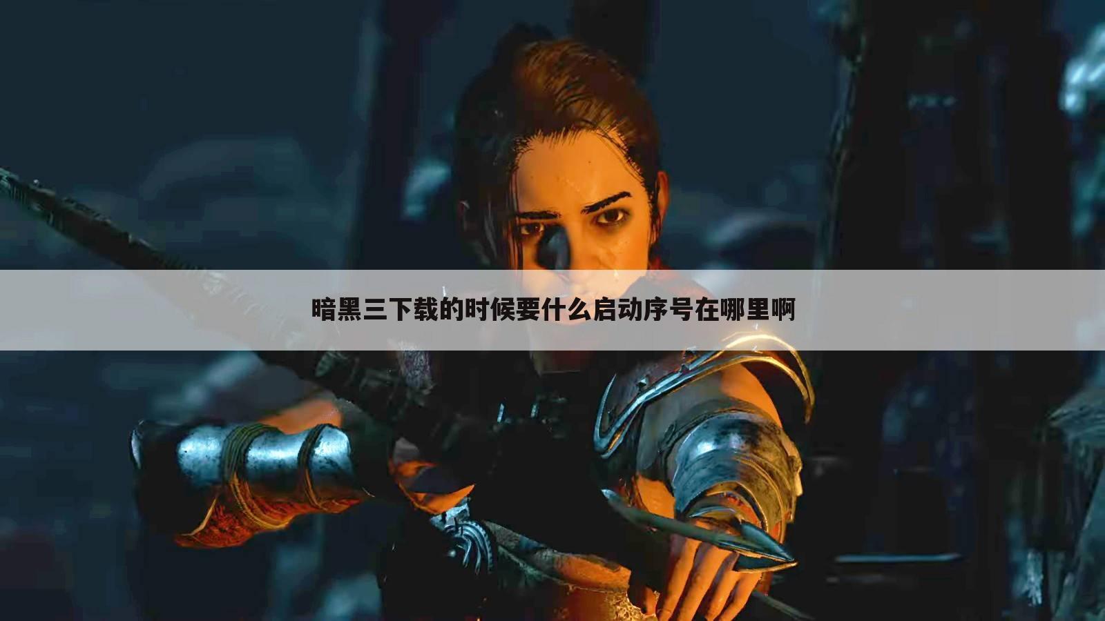 暗黑三下载的时候要什么启动序号在哪里啊