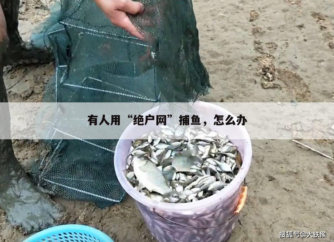 有人用“绝户网”捕鱼,怎么办
