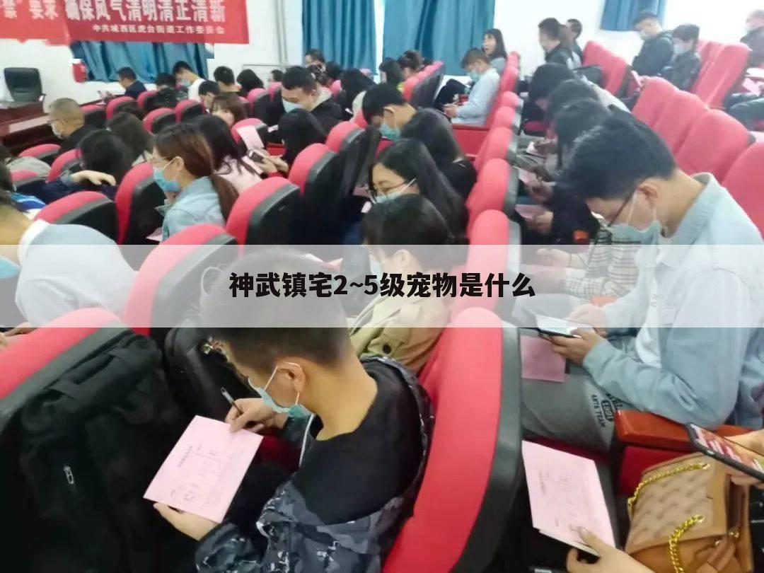 神武镇宅2~5级宠物是什么