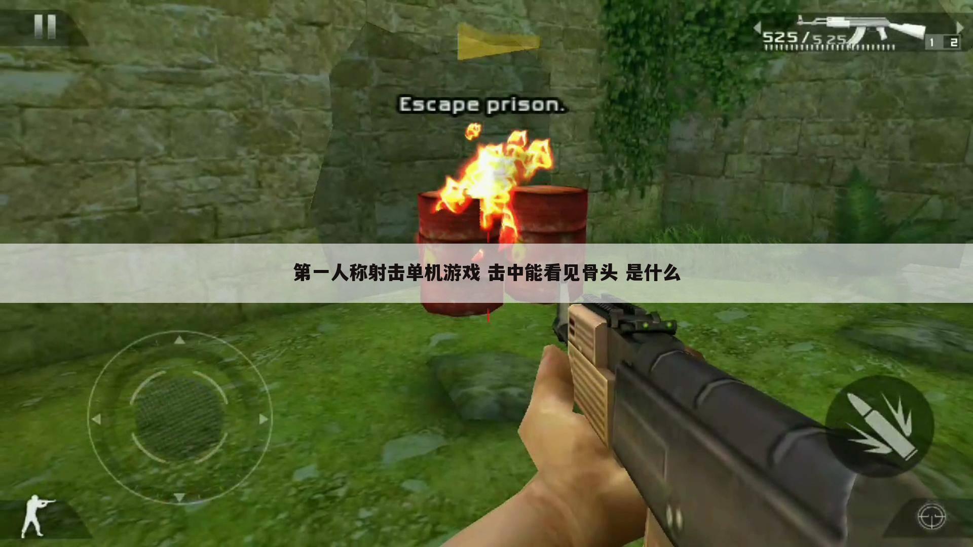 第一人称射击单机游戏 击中能看见骨头 是什么