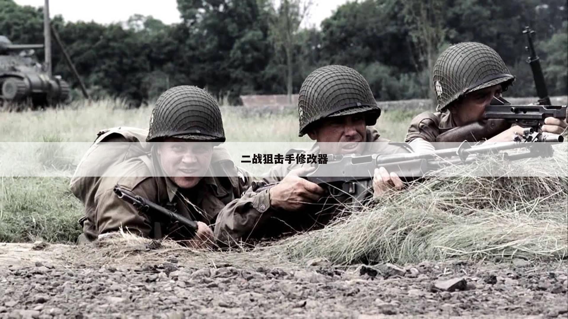 二战狙击手修改器