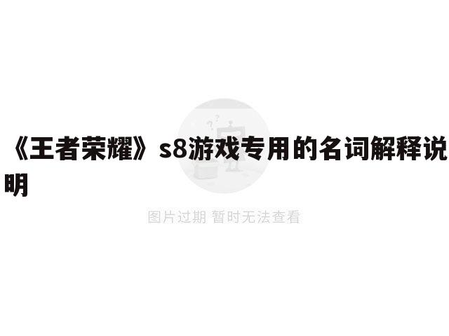 《王者荣耀》s8游戏专用的名词解释说明