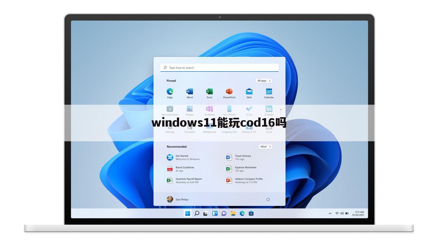 windows11能玩cod16吗