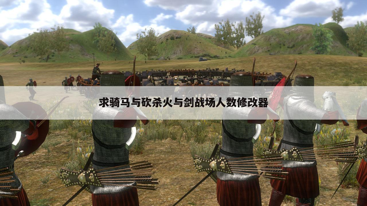 求骑马与砍杀火与剑战场人数修改器