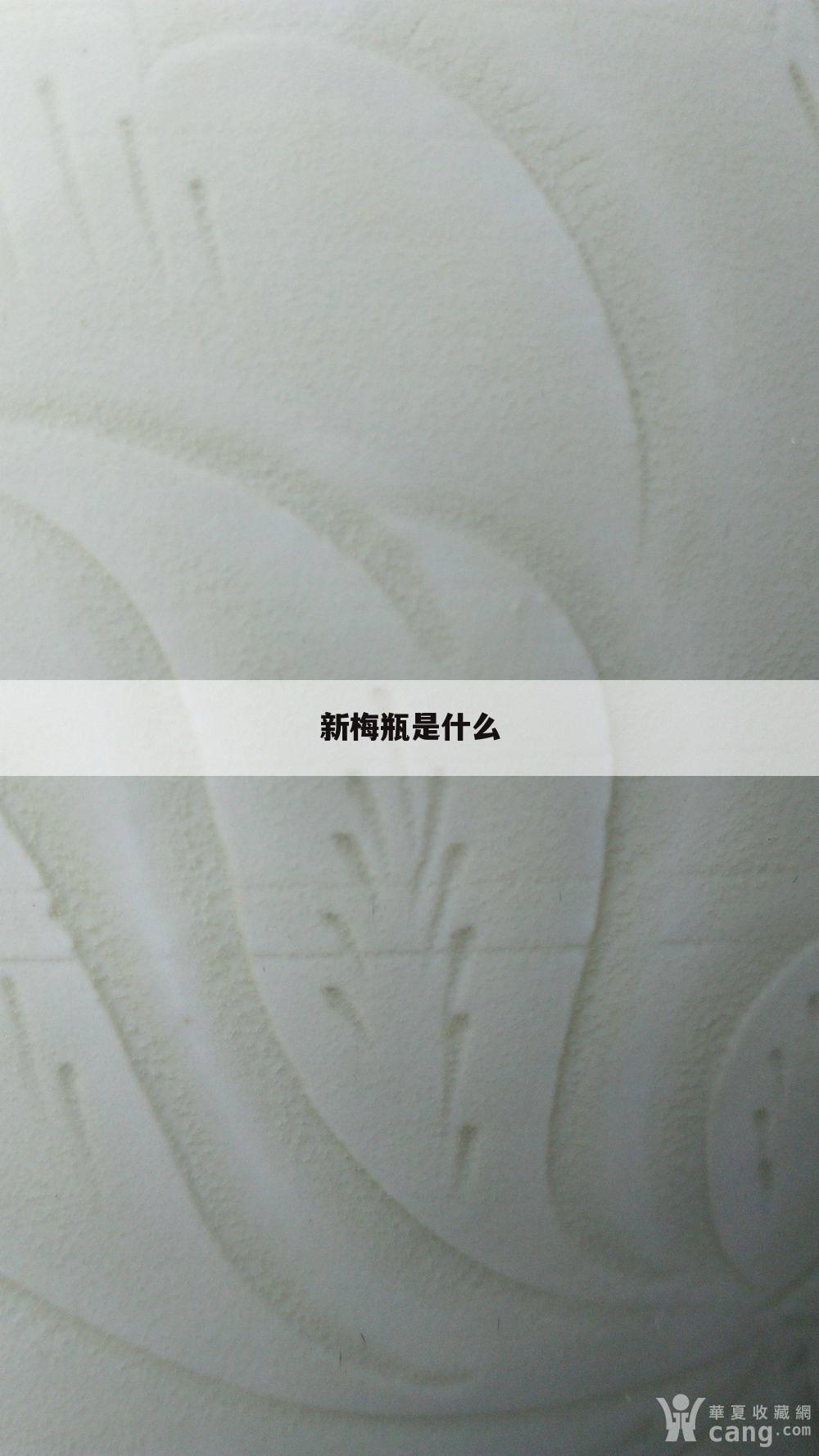 新梅瓶是什么
