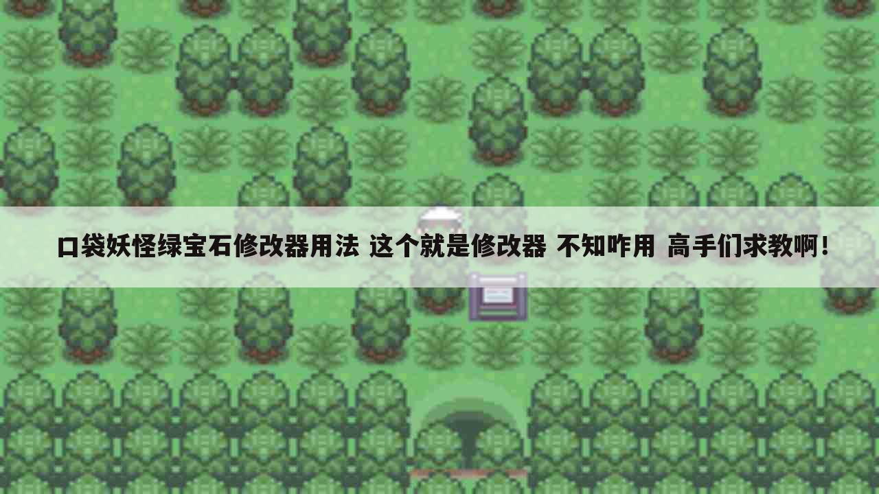 口袋妖怪绿宝石修改器用法 这个就是修改器 不知咋用 高手们求教啊!