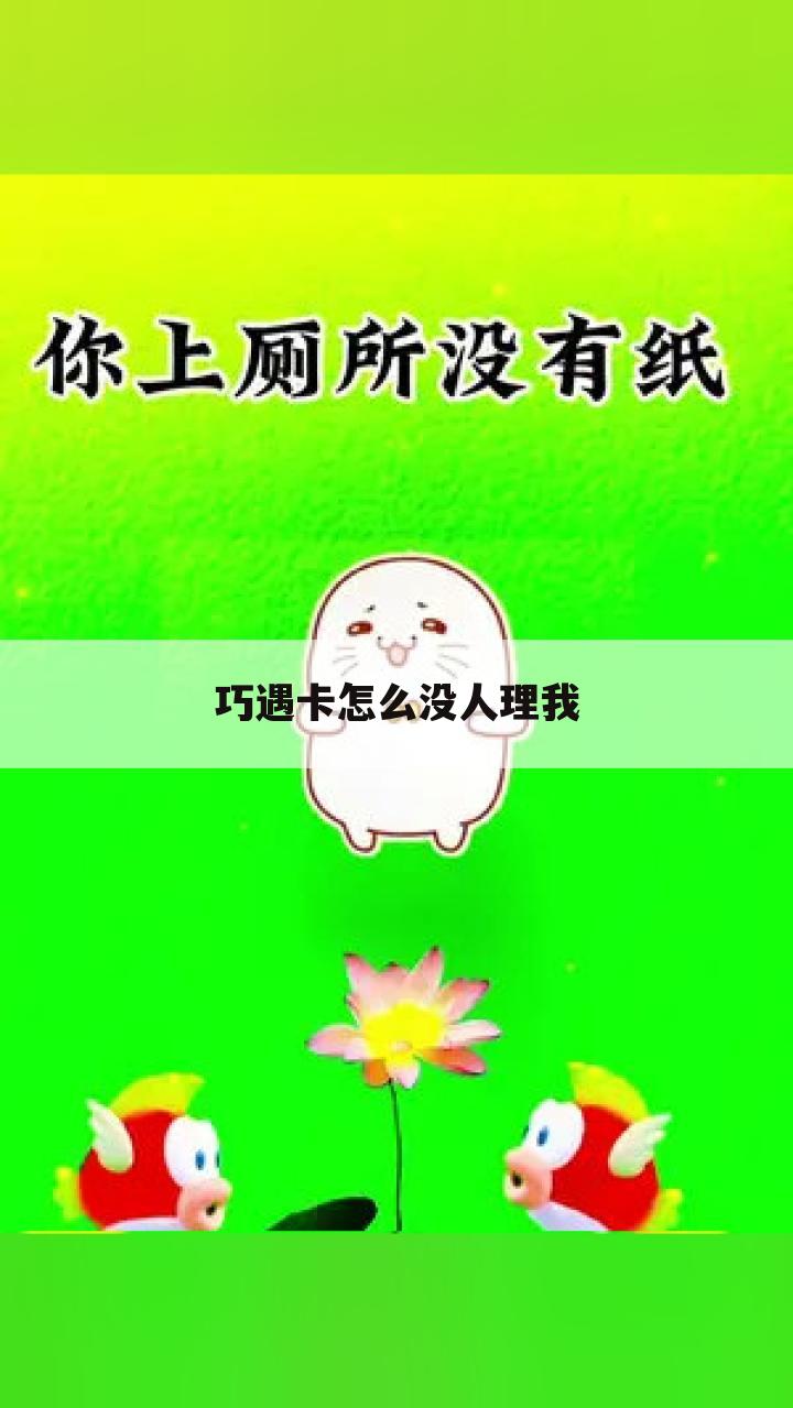 巧遇卡怎么没人理我