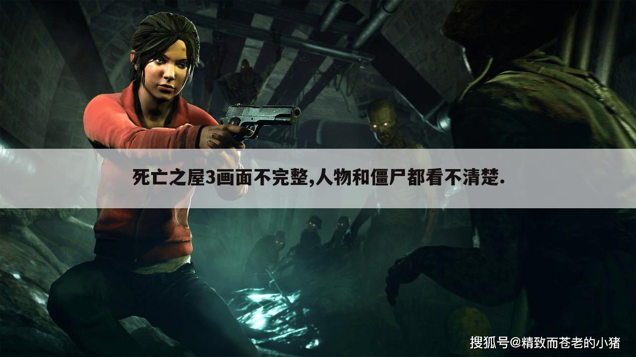 死亡之屋3画面不完整,人物和僵尸都看不清楚.
