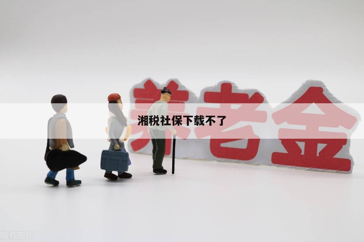 湘税社保下载不了