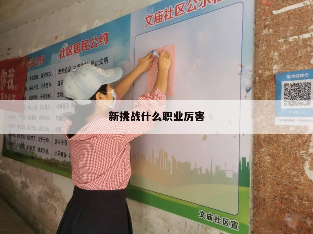 新挑战什么职业厉害