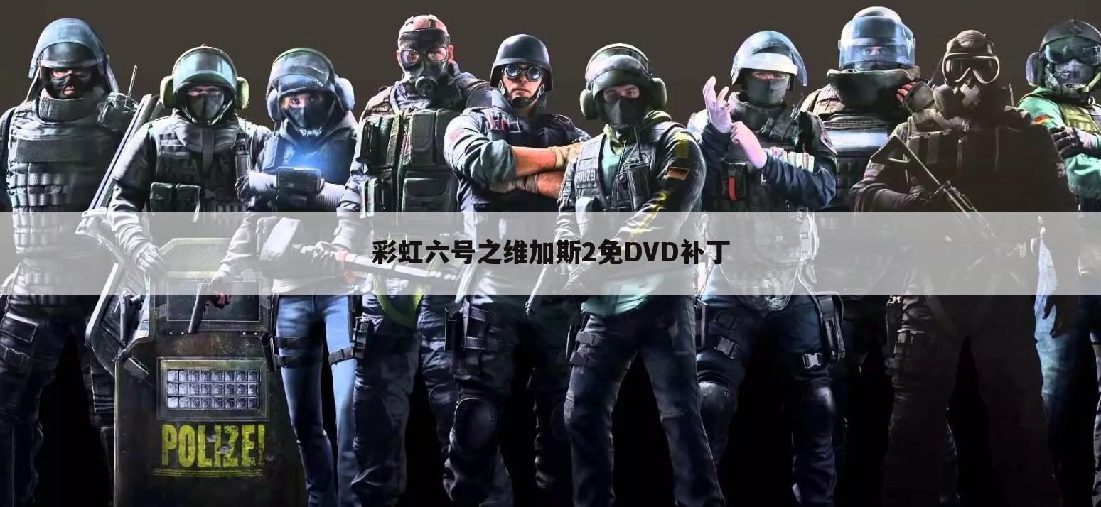 彩虹六号之维加斯2免DVD补丁